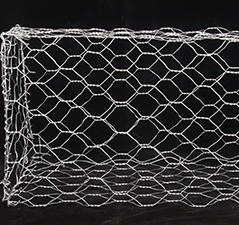 微信图片_20250922164159_232_10 微信图片_20250922164159_232_10