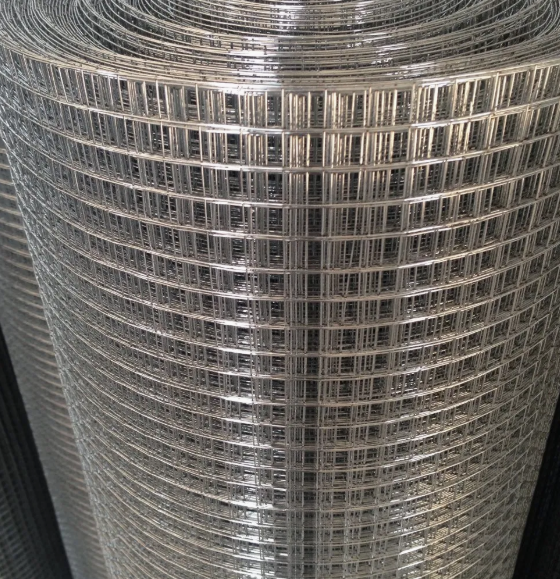 微信图片_20250925163622_444_10 微信图片_20250925163622_444_10