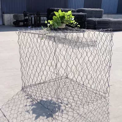 微信图片_20250922164335_234_10 微信图片_20250922164335_234_10