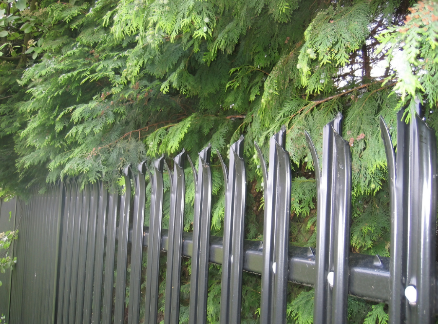 Palisade Fence for Isolating Trees Palisade Fence