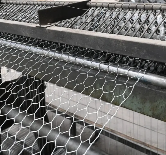 微信图片_20250923102241_273_10 微信图片_20250923102241_273_10