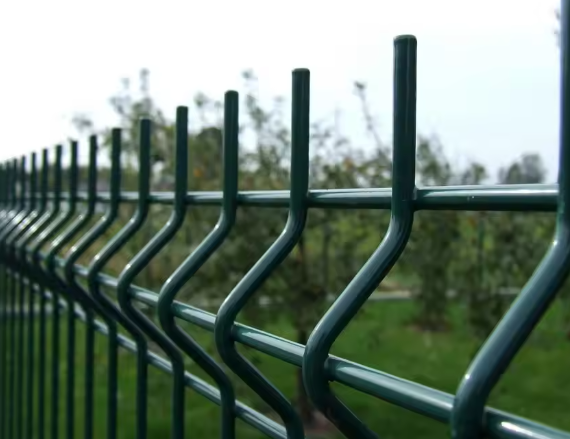 微信图片_20250916101916_40_10