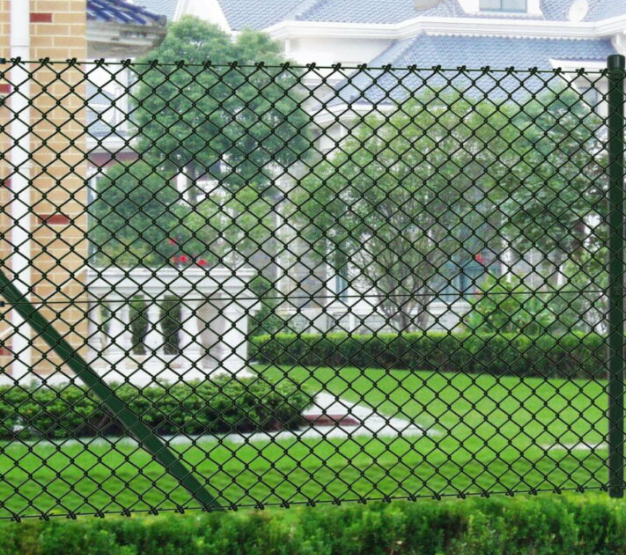 微信图片_20250925105528_395_10 微信图片_20250925105528_395_10