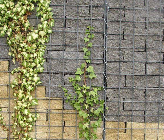 微信图片_20250923151613_301_10 微信图片_20250923151613_301_10