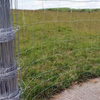 Corrosion Resistant Galvanized Steel Wire Field Fence Customizable for Livestock Farm Use