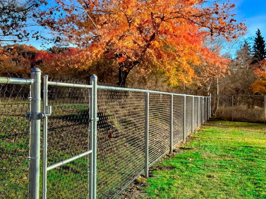 Chain Link Fence