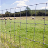 Galvanized Steel Long Lifespan Field Fence Types of Farm Fence