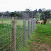 Long Lifespan Welded Field Fence Easy Install Mesh for Farm Boundary Livestock Enclosure