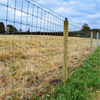 Long Lifespan Welded Field Fence Easy Install Mesh for Farm Boundary Livestock Enclosure