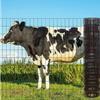 Easy Install Customizable Height Field Fence Welded Mesh Solution for Farm Boundary