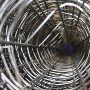 High Quality Welded Steel Wire Mesh Coils for Poultry