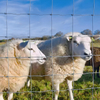 Field Fence