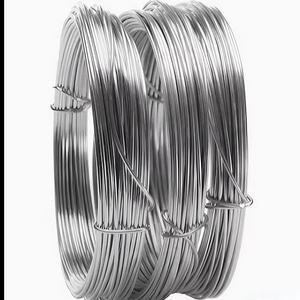 Galvanized Steel Wire in Rolls & Coils - Electro/Hot Dipped for Multi-Use