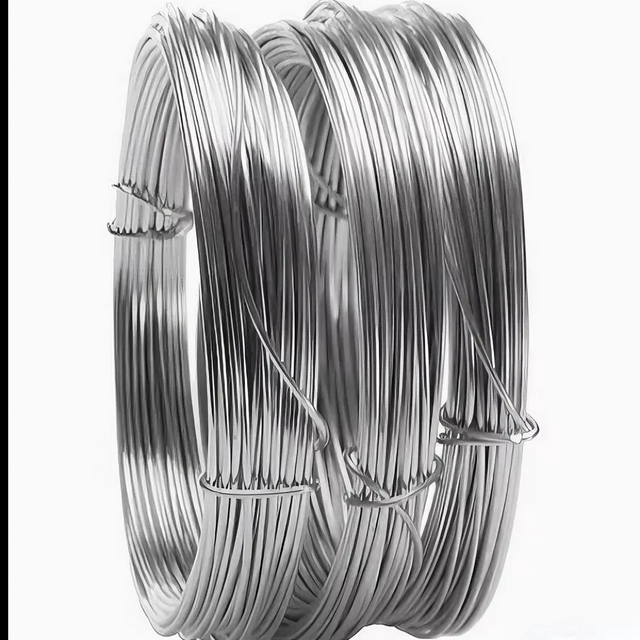 Galvanized Steel Wire in Rolls & Coils - Electro/Hot Dipped for Multi-Use