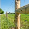 Galvanized Steel Field Fence Corrosion Resistant Long Lifespan for General Livestock