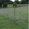 Field Fence with Weaving Wire Durable Livestock Protection for Farm Applications