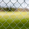 PVC-coated green wire mesh fence
