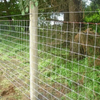 Corrosion Resistant Galvanized Steel Wire Field Fence Customizable for Livestock Farm Use