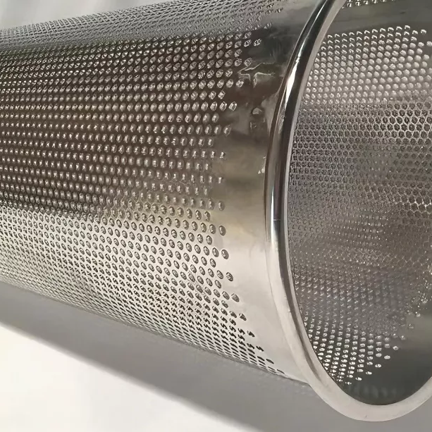 61d658ff0Perforated Plate Filter Basket627bb8ae884498d569d84c1_613_613