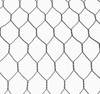 Hexagonal Gabion Net Galvanized Gabion Box Weave Gabion Mesh