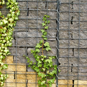 Welded gabion mesh for landscaping and horticulture