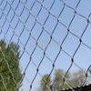 7x7 7x14 304 316l Stainless Steel Zoo Mesh Rope Mesh Netting